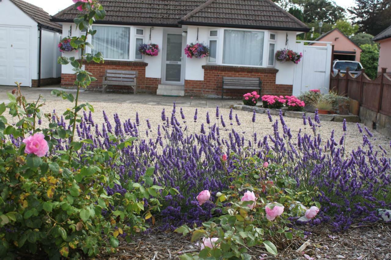 Avon Breeze Bed and Breakfast Christchurch  Exteriör bild